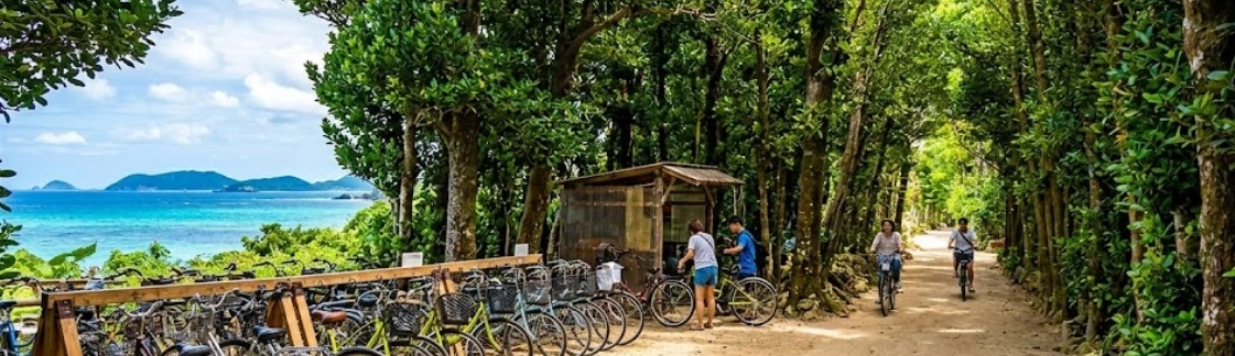 비세자키 후쿠기 가로수길 자전거 대여 및 산책 코스 가 1