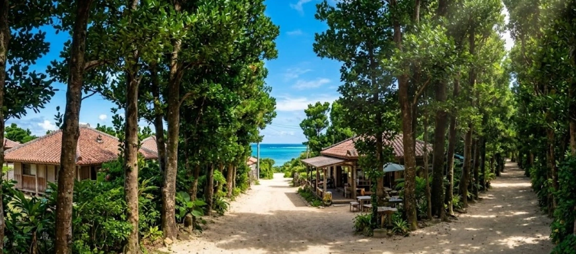 오키나와 북부 츄라우미 인근 명소 및 대자연 숲속 카페 1